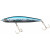 20075173-
			Blue Shad